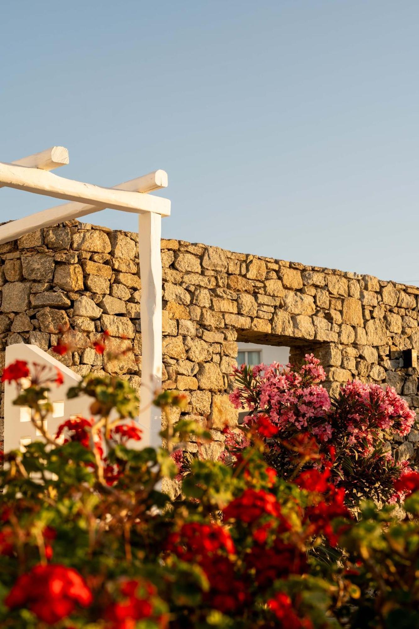 Philosophy Of Mykonos Boutique Hotel Mykonos Town 외부 사진