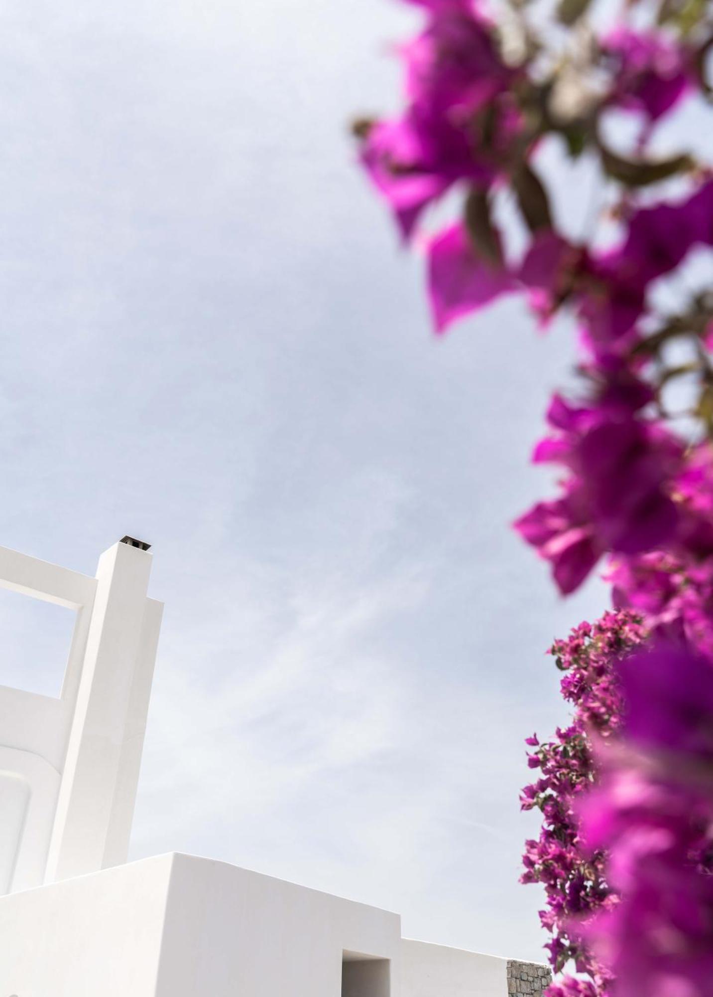 Philosophy Of Mykonos Boutique Hotel Mykonos Town 외부 사진
